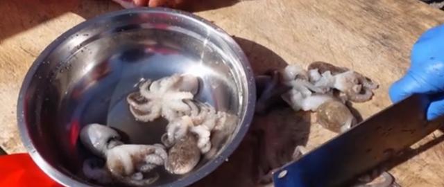 青岛泊里大集海鲜烩饼加工费,青岛海鲜早市海鲜烩饼