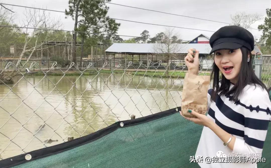 请收下这份美好生活攻略,请收下这份旅游攻略