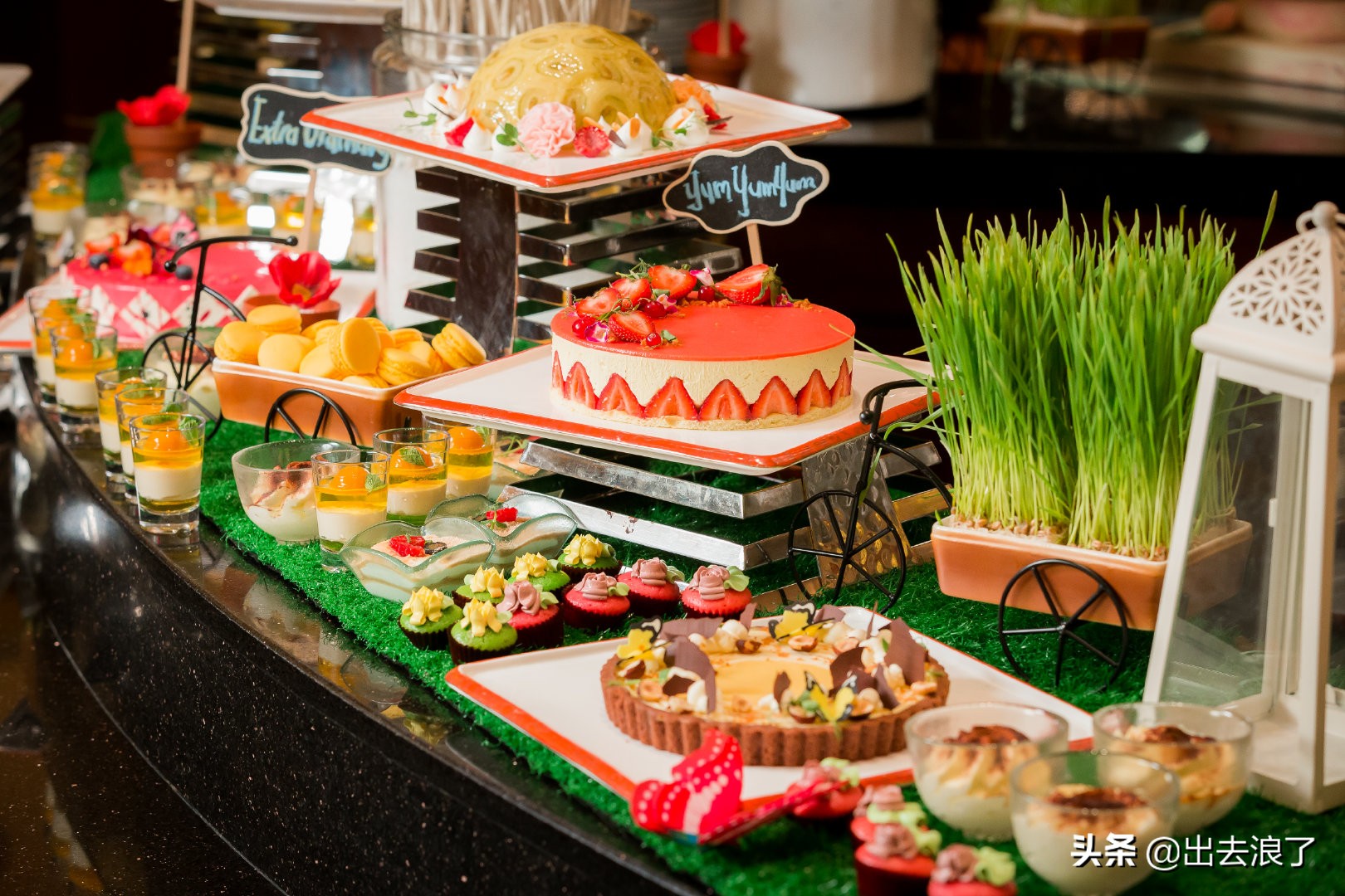 锦鲤体质好运爆棚,锦鲤体质增强