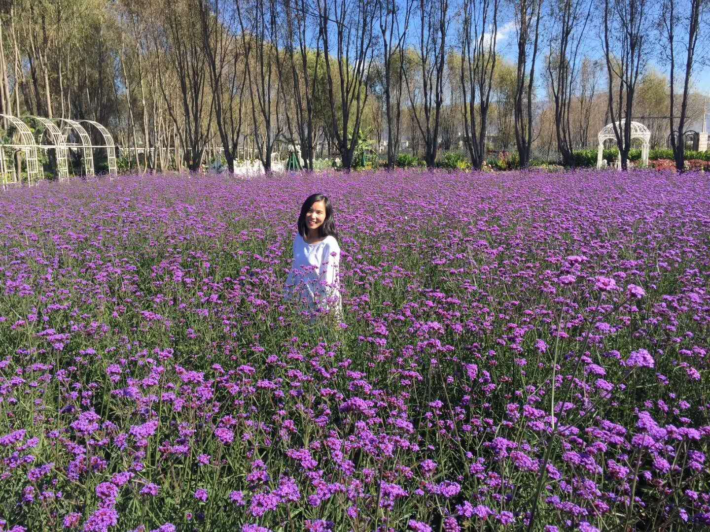 辟谷祛湿排毒,辟谷为什么能清毒