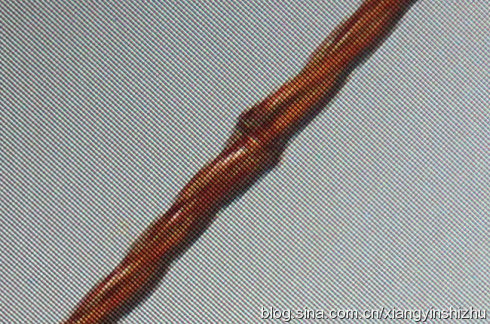 烤竹手杖,闲话竹杖