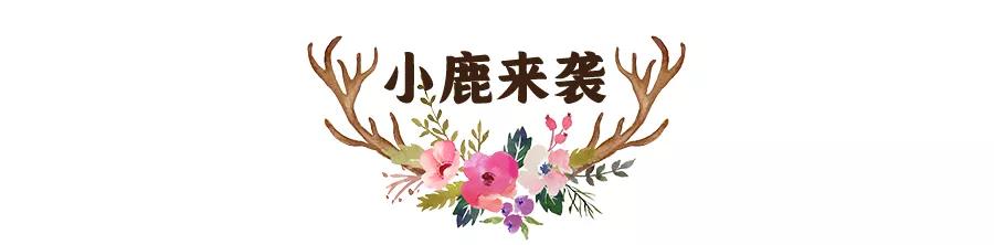 东南花都花博园全新升级鹿岛公园,东南花都花博园导览图