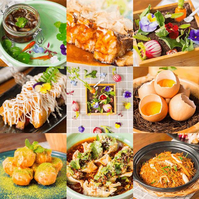 不想回上海了怎么办,不想在上海漂泊了想回合肥