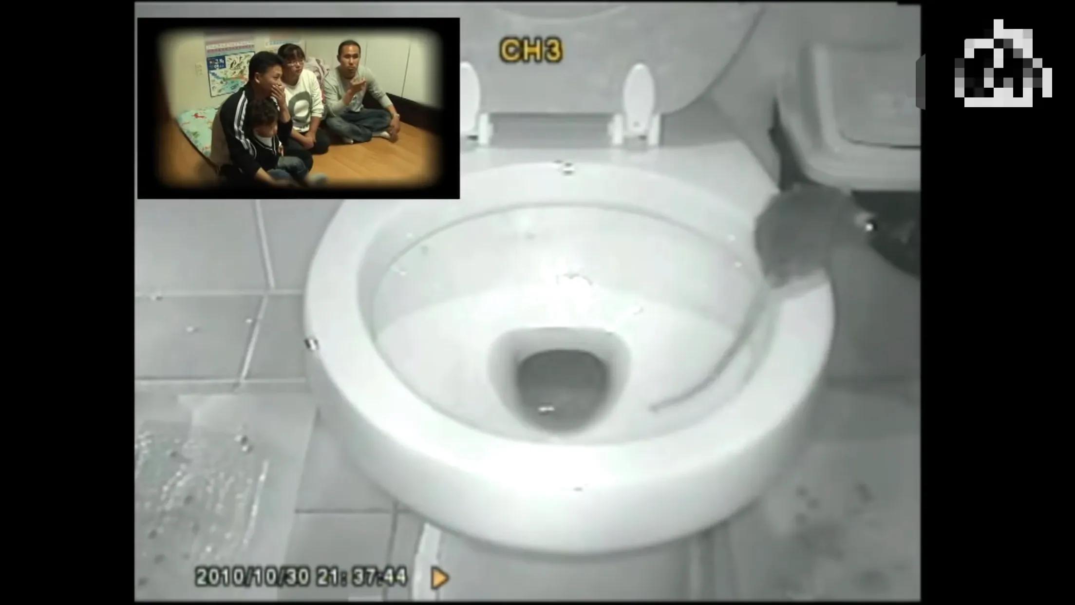 马桶下水道里有老鼠怎么办,老鼠真的能从马桶进入你家里吗