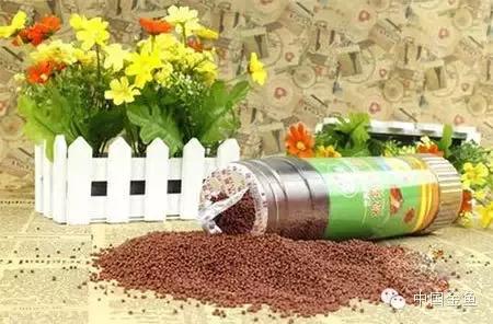 金鱼吃什么饲料既干净又有营养,金鱼都喂食什么饲料好吃