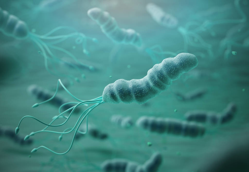 幽门螺杆菌900多需要做胃镜吗,幽门螺杆菌值200多严重吗