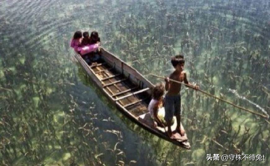 10个冷知识看了涨知识,十个冷知识除鞋臭