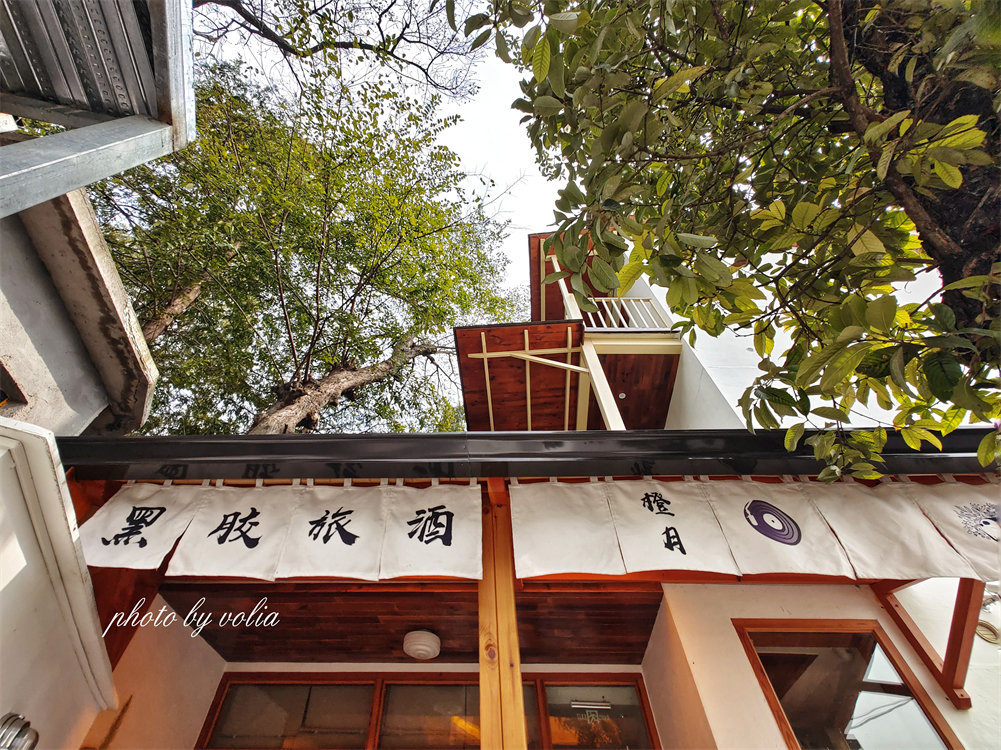 黑胶·旅人·酒|莫干山的月亮是橙色的