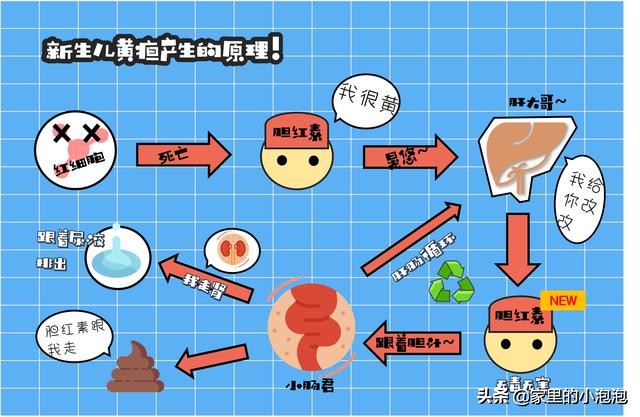 黄疸怎么预防又简单又有效,黄疸值下降后又要升高了