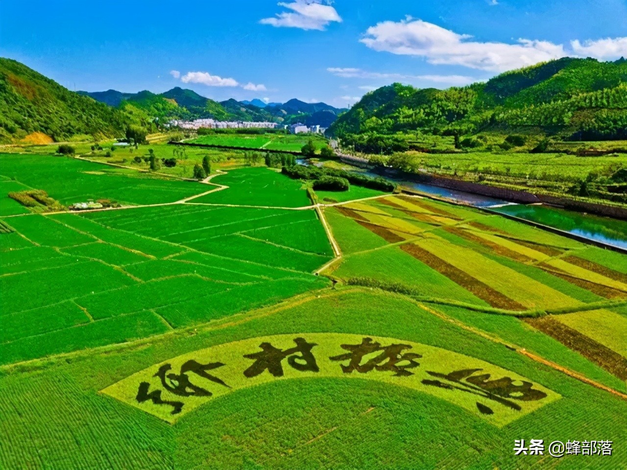 在农村有什么好的项目可以致富,在农村发展有什么好项目