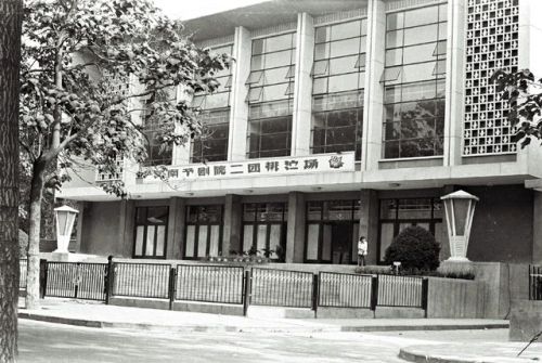 东北二王的覆灭之战,83年抓捕东北二王