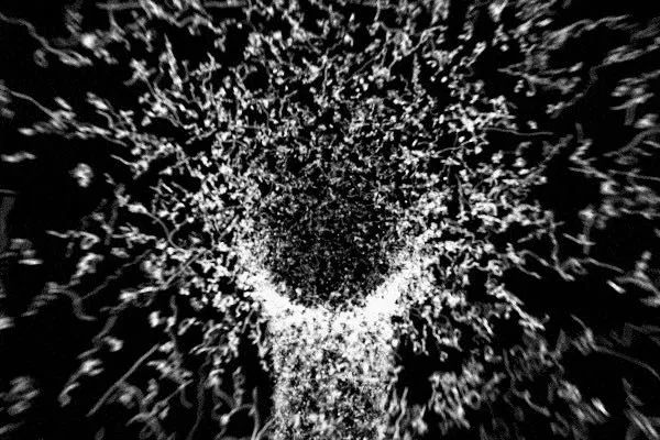 如何正确享受生活,怎么才能学会享受生活