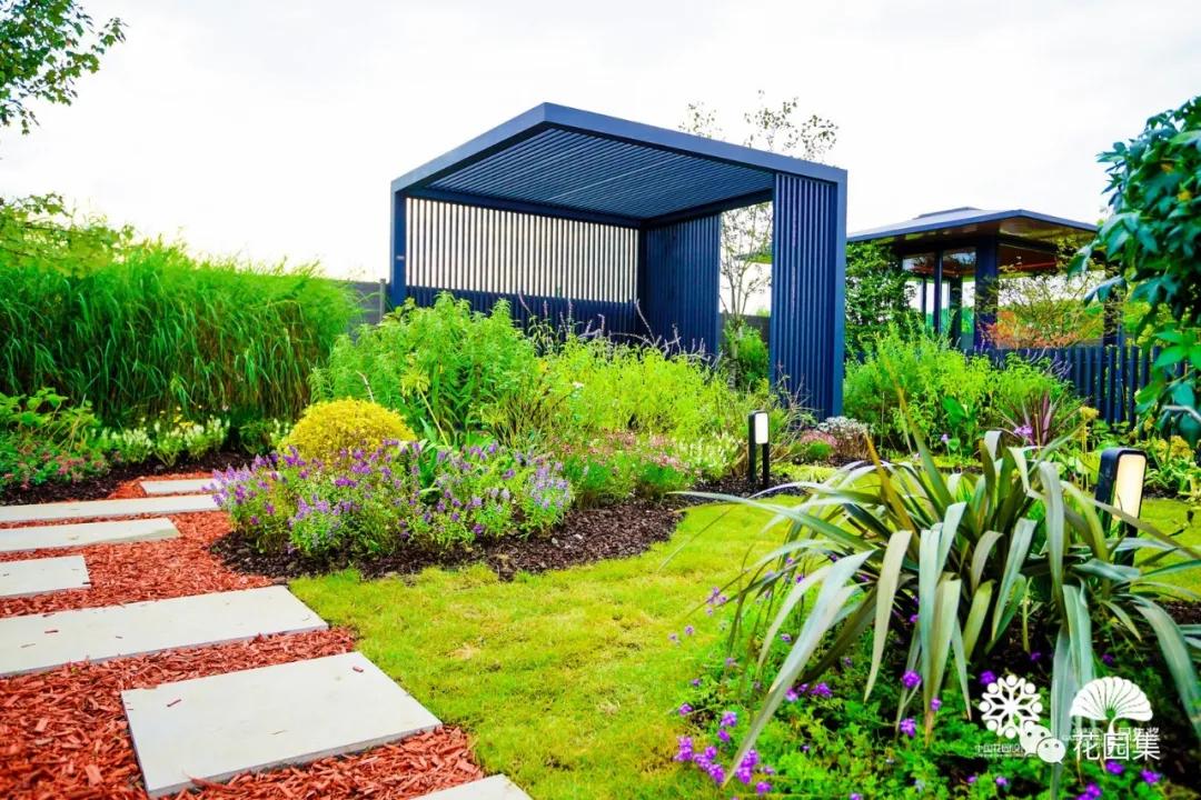 鑺卞洯鐩涘涔愯嚦,鑺卞洯鐩涘瀹屾暣