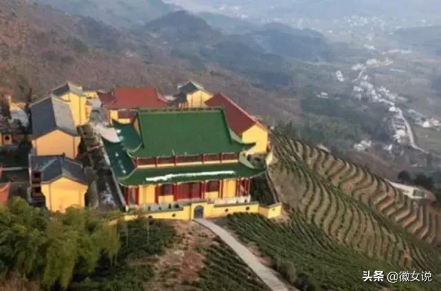 合肥各个区pk郑州,合肥是全国最漂亮的城市吗