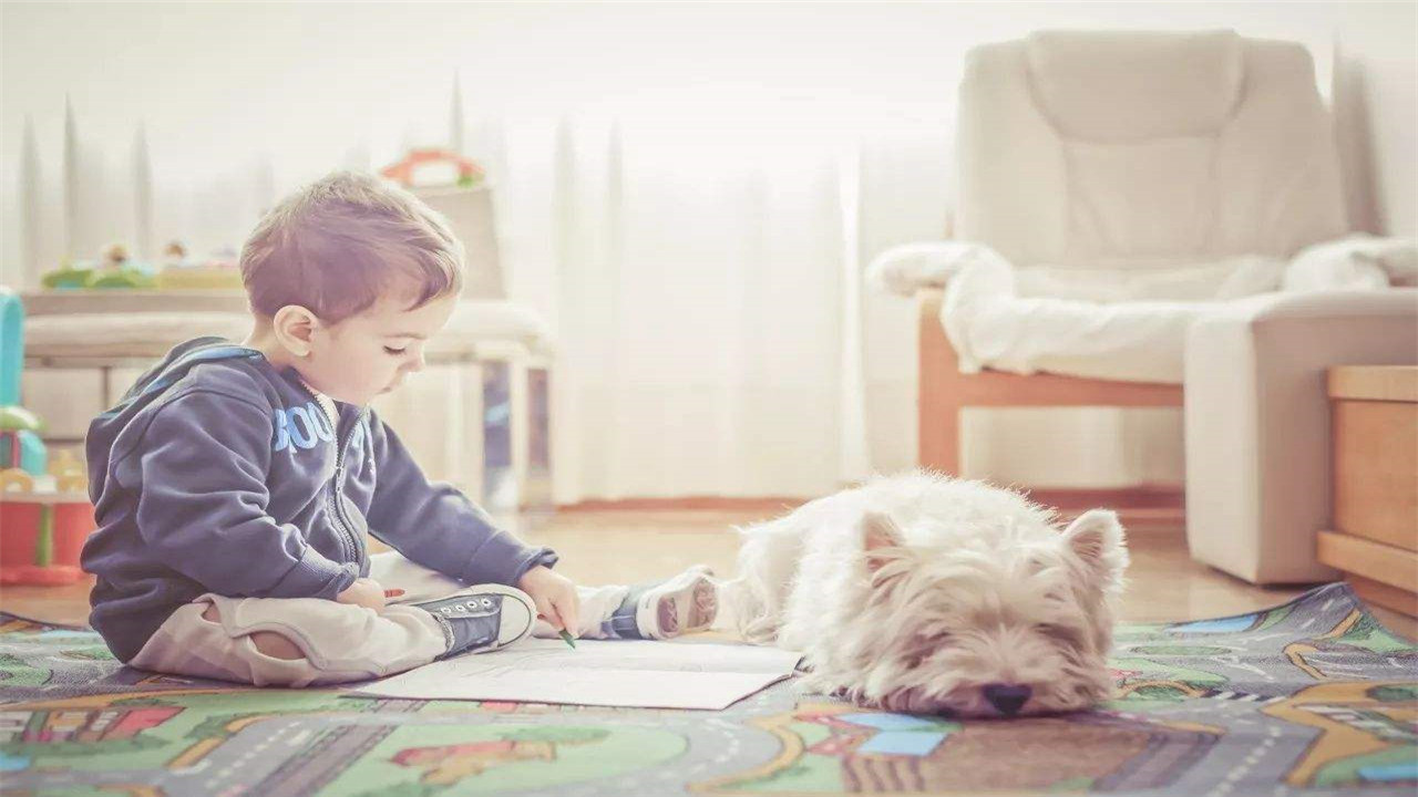 普瑞马法则克服惰性,小孩子对学习有情绪怎么疏导