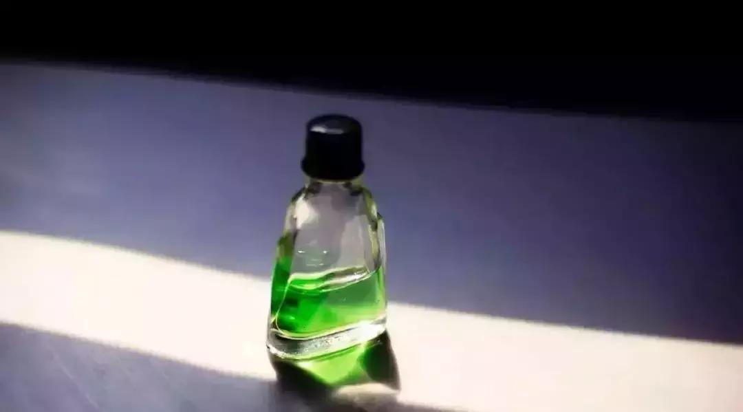 盆里有虫用什么药,盆里有小虫子怎么办