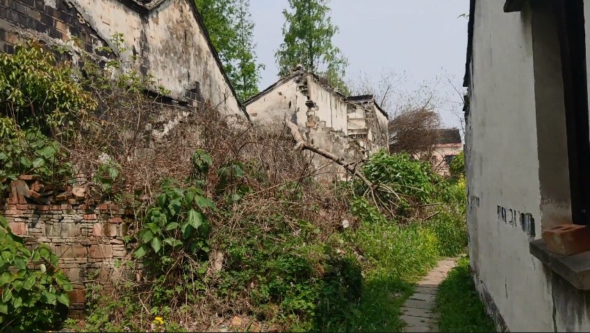 苏州一条有名的街,苏州最有潜力的老街