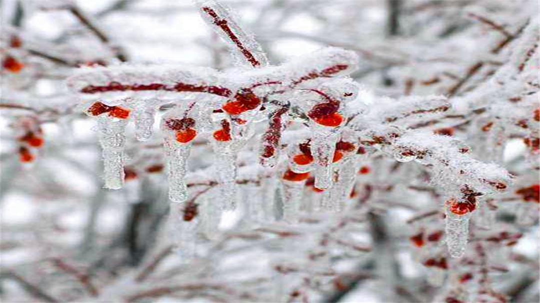 女性受凉对身体有什么危害,女性受寒注意什么