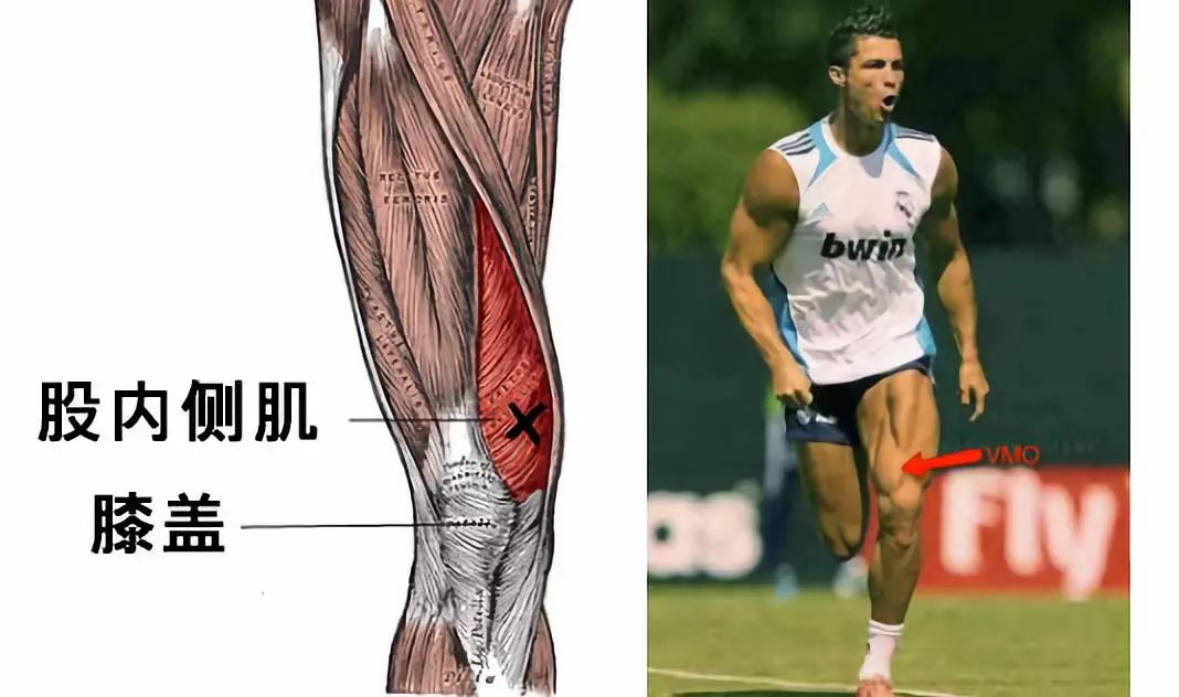 腿部站立直腿训练,在家就能练的魔鬼式的腿部训练