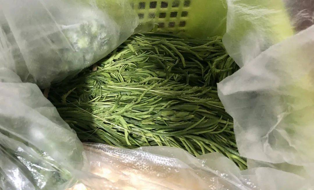 云南带毒的美食,云南带菌的美食