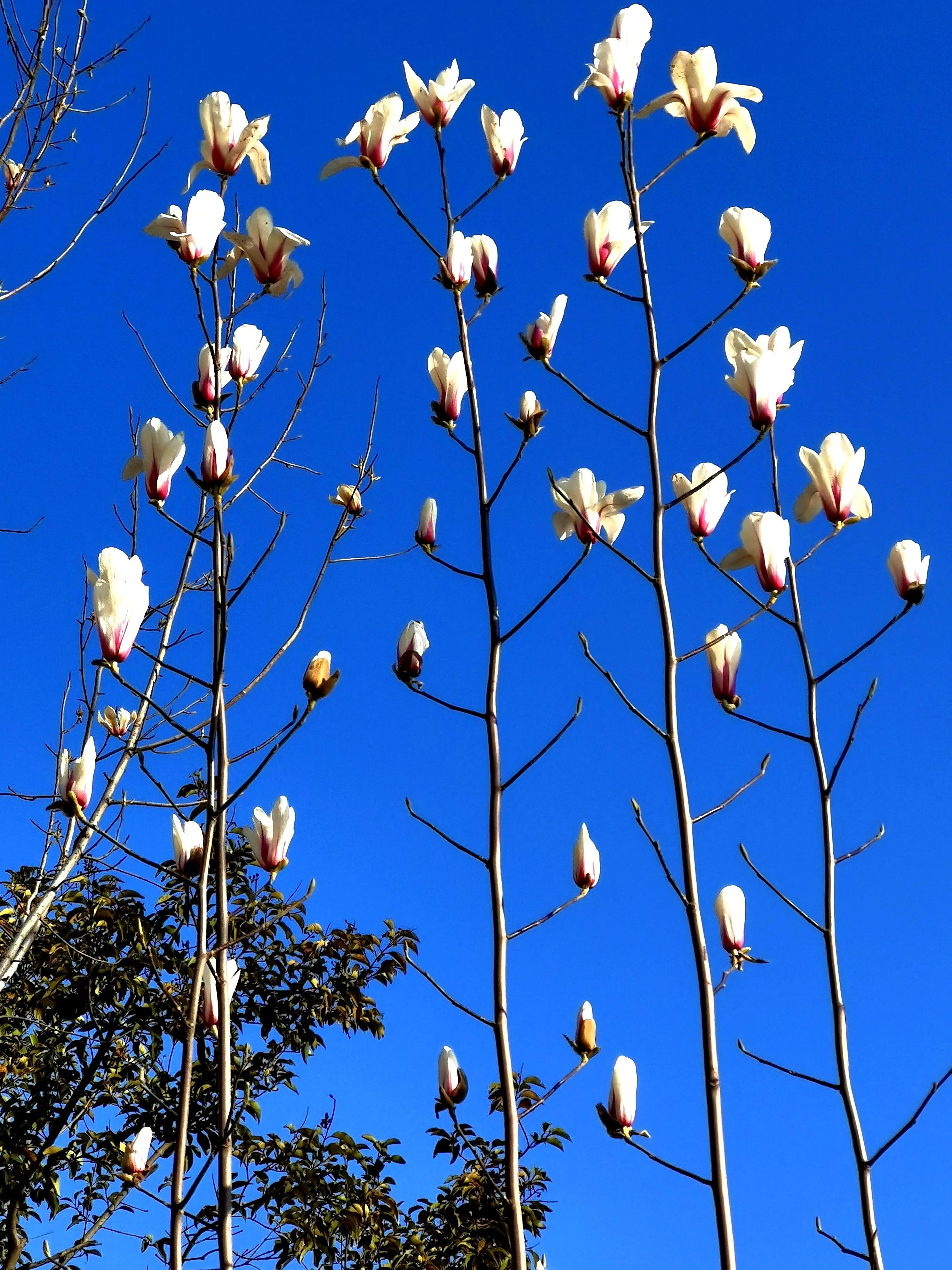 *访上**不当也会违法的（详解）