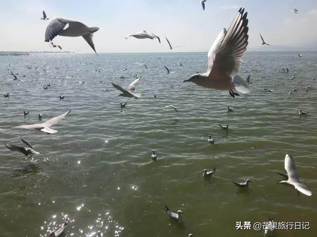 女孩子一个人去云南旅游三月份,一个女生去广州旅游