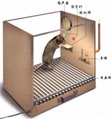 世界五大学习方法之跨界学习法（思维网之正反馈）