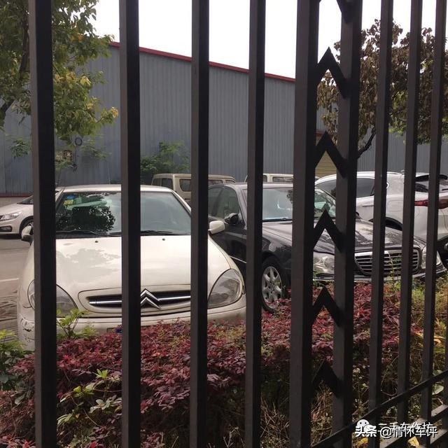 性价比超高的鲜为人知的赛道王操控王，雪铁龙塞纳N7了解一下！