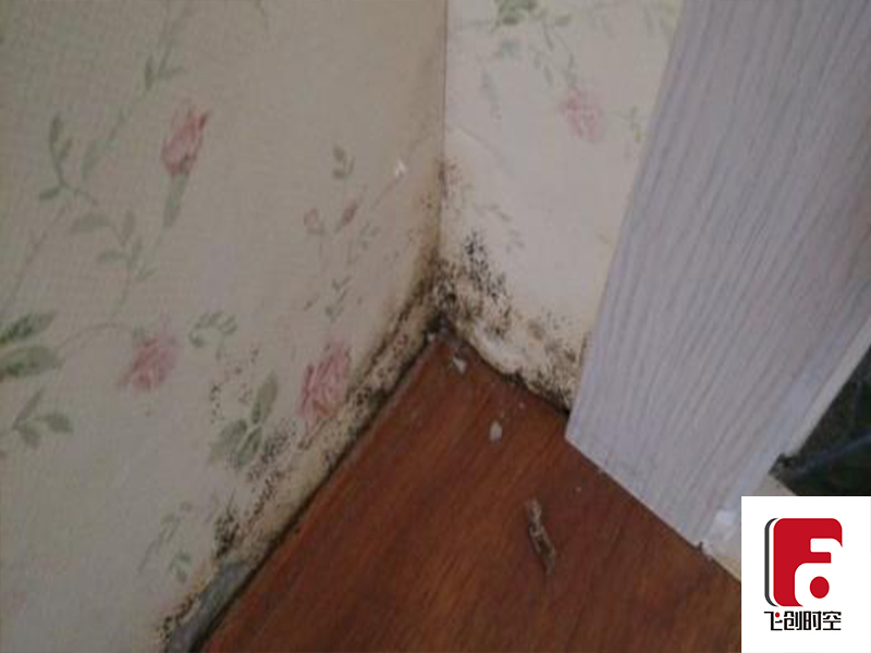 胶州比较坑的装修公司,胶州装修靠谱