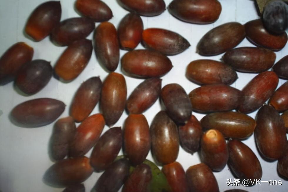 农村80后才看得懂的图和知道的经历