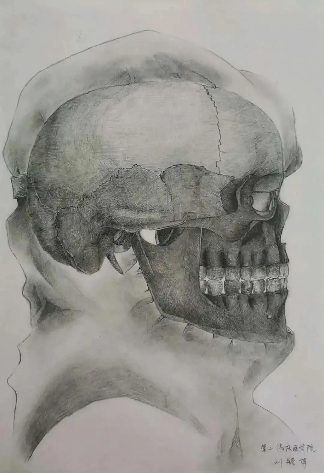 左手丹青，右手手术刀，985名校医学生笔记曝光！网友：这是学神级别的！