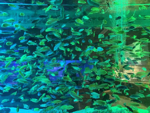 秦淮区东部发展,秦淮区支柱产业