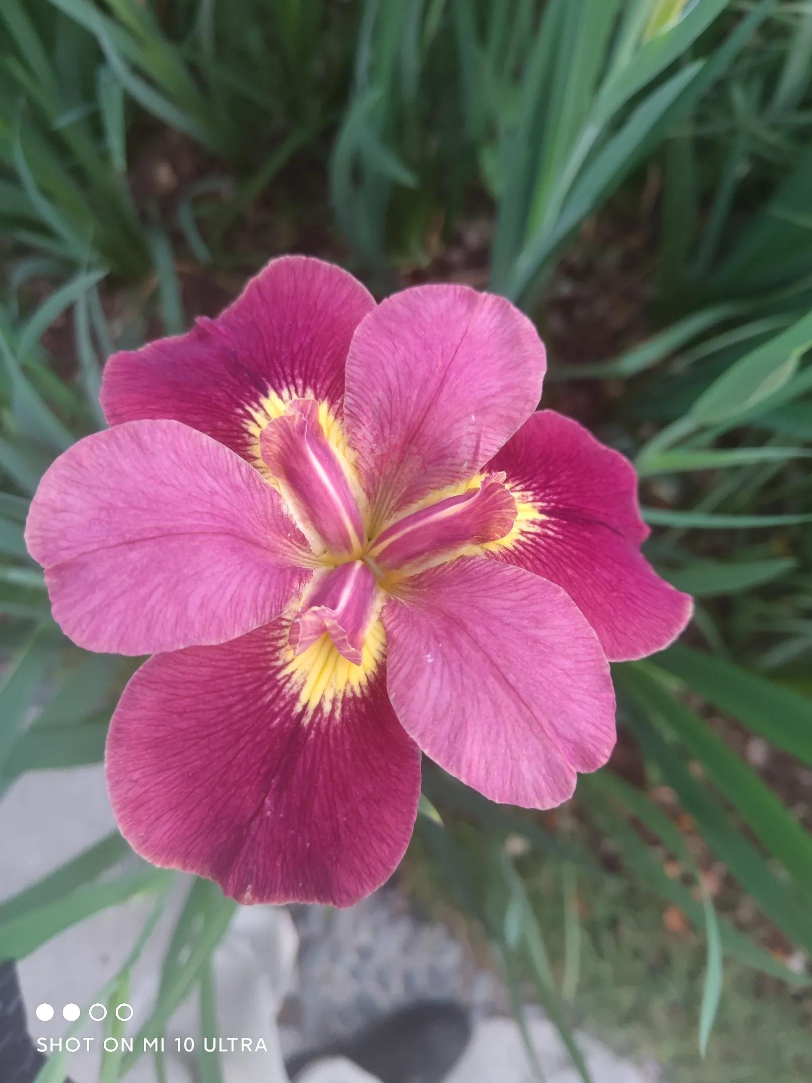 人都会老去那应该如何养老,老人的人生智慧