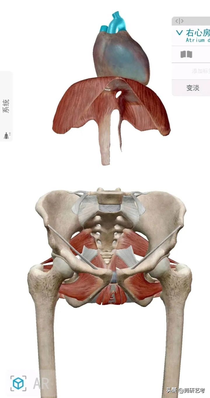 什么是开胯？我来告诉你