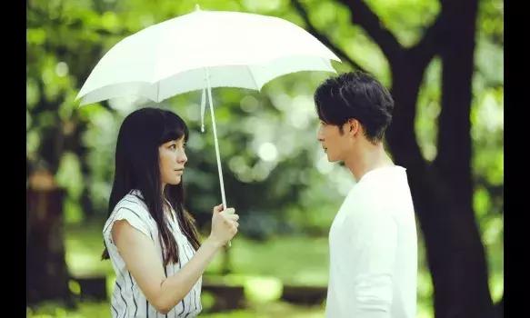 2019完整电视剧,2019冬剧场动画