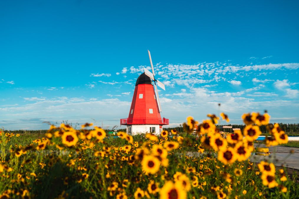 她是滔滔千里黄河的宠儿,阴山之下、河套之上的掌上明珠
