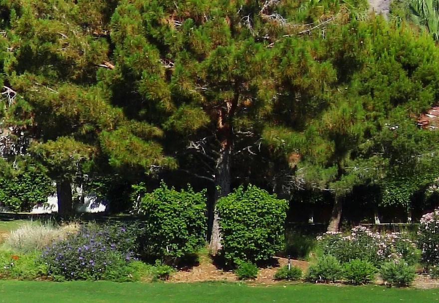 单反0.95光圈镜头f卡口,z卡口镜头1.4光圈