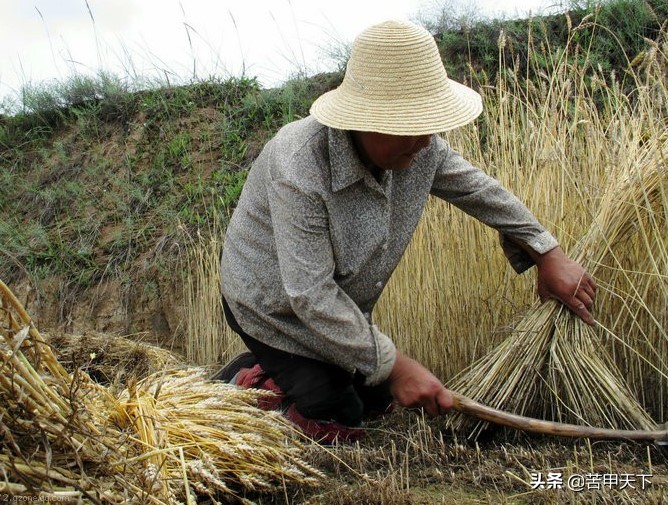为我的家乡会宁点赞,甘肃会宁老家乡村记忆