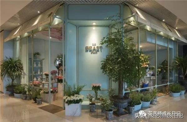 花店常见鲜花搭配,花店每月购花的技巧