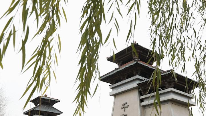 天华国际公区怎么样,天华国际的入户门