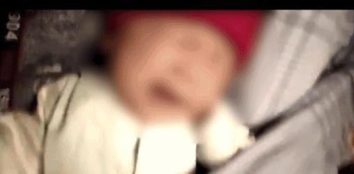 张雨绮真实生活,张雨绮的魅力来自哪里