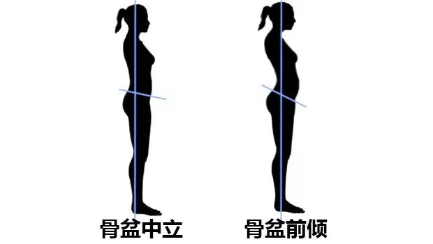 女性健身练形体有什么动作,女性如何正确的健身