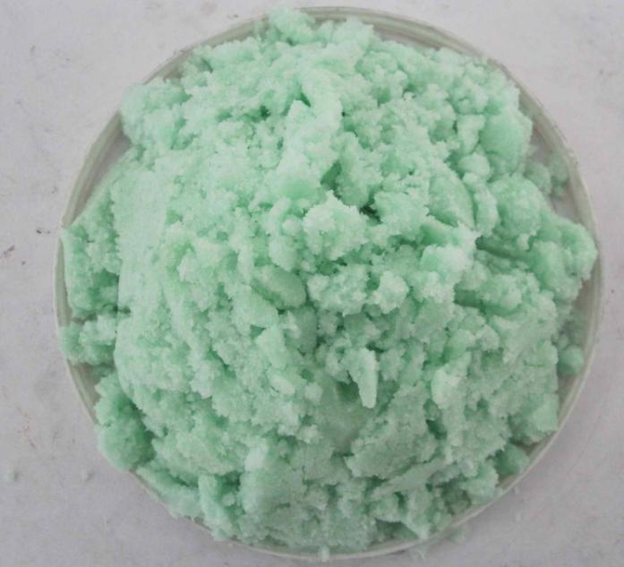 绿萝有黄叶和黑斑怎么办,绿萝出现好多黄叶是什么原因