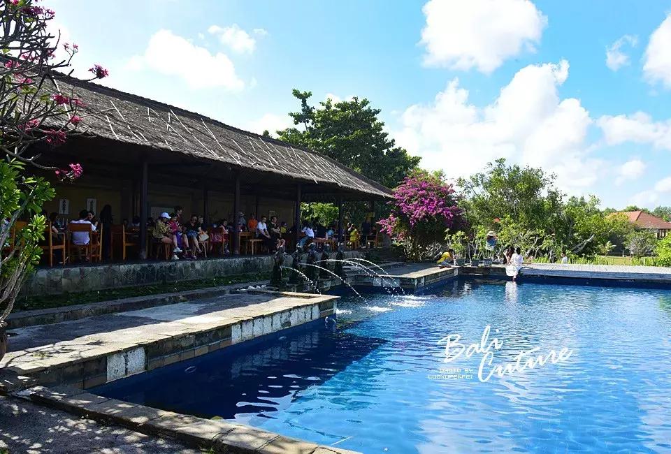 999玩转巴厘究竟嗨不嗨：香遇巴厘，南太平洋的风与海