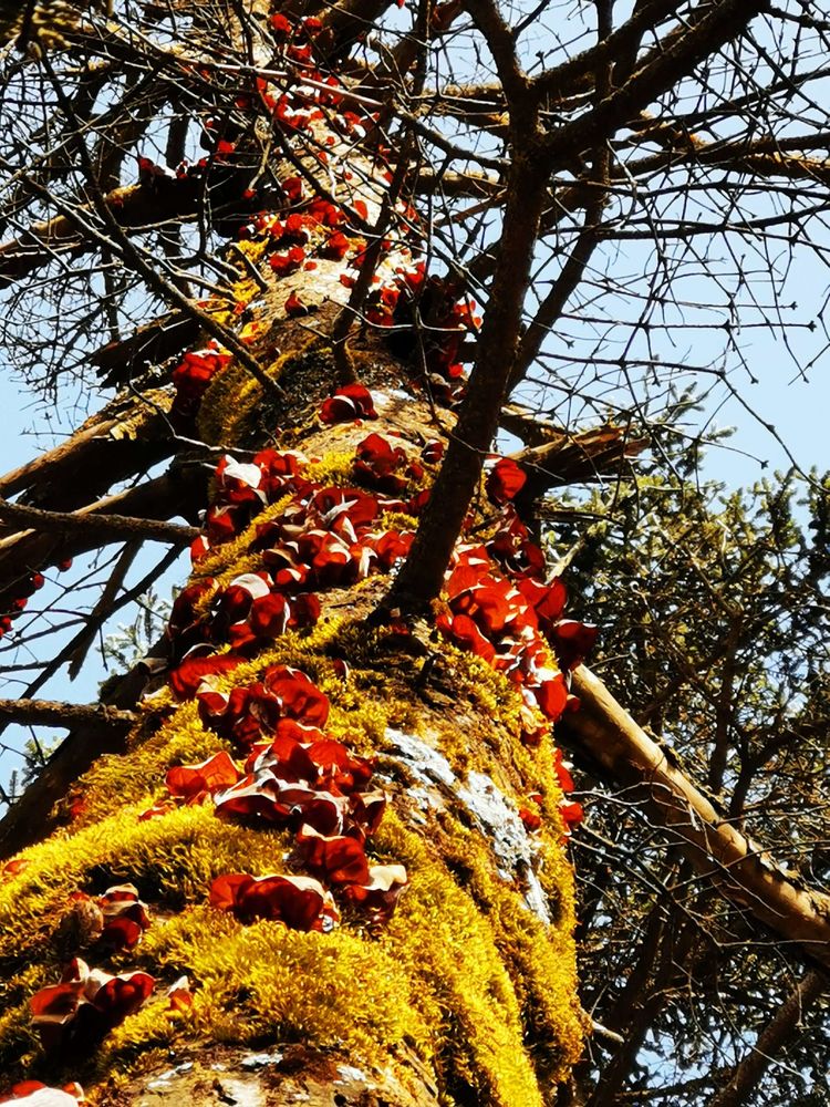 20201101惊悚之行~首阳山大坪梁单日横穿+原返