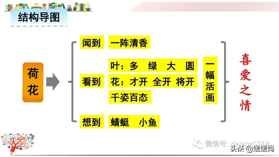 三年级下册荷花ppt课件部编版,三年级下册语文第三课荷花小练笔