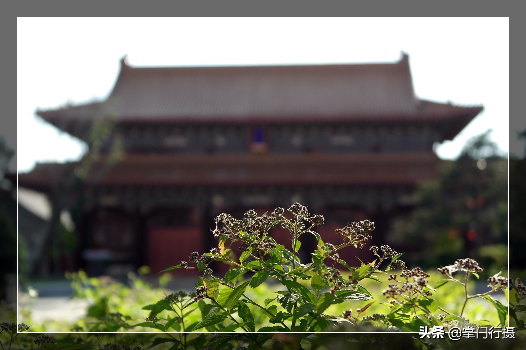 乾隆皇帝的“替僧”为什么叫“元宝和尚”？原来是一跤摔出来的