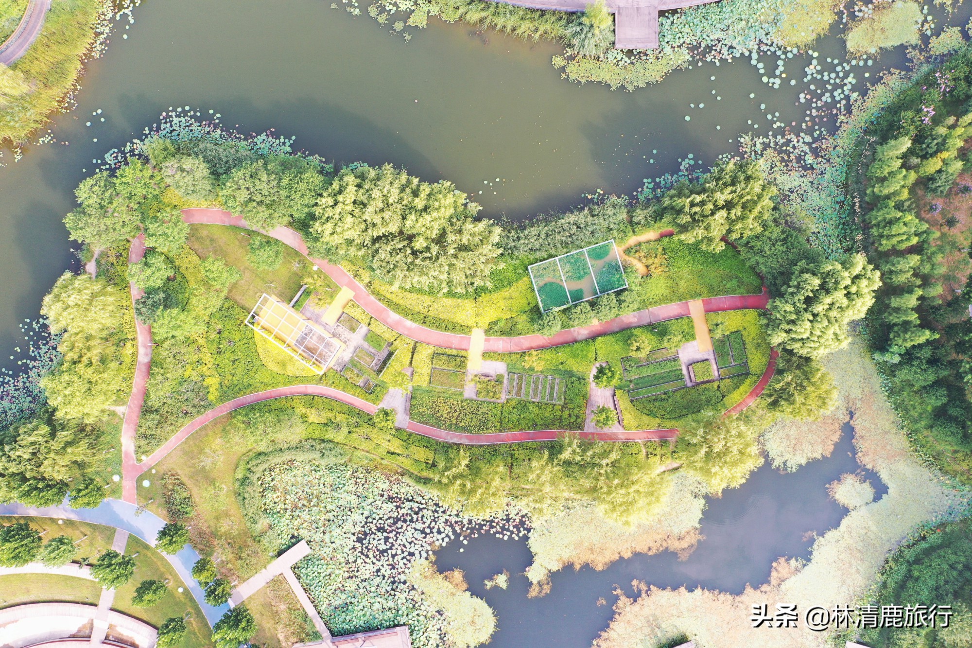 郑州免费湿地公园,郑州周围有水的公园免费景点