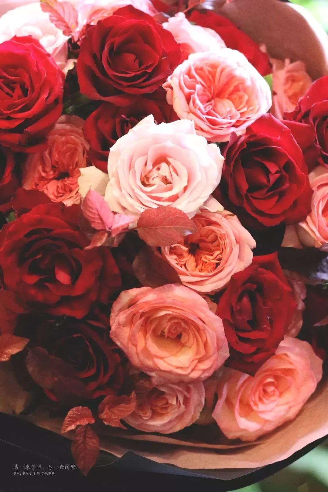 9月10日教师节送什么花呢,教师节感谢老师送什么花好