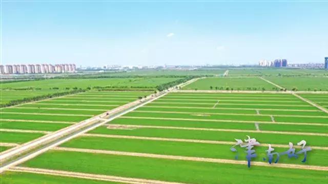 看得见发展留得住乡愁,看得见青山绿水留得住乡愁